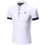 Polo-t-shirt-8.jpg